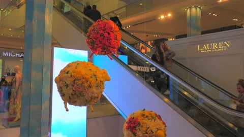 Macy’s Flower Show 2023 is opened at Herald Square in New York City Stock Footage 237410892