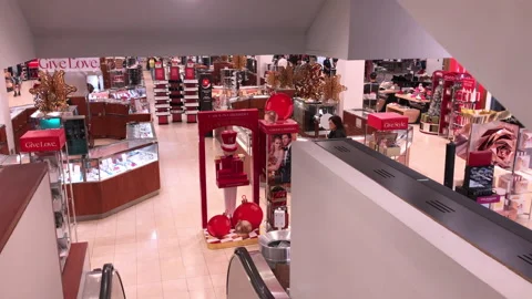 Macy's Store in the Mall all Dressed Up For The Holiday Season Vidéo 220526763