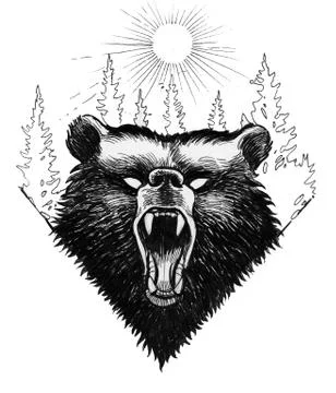 Mad bear Illustrazione stock