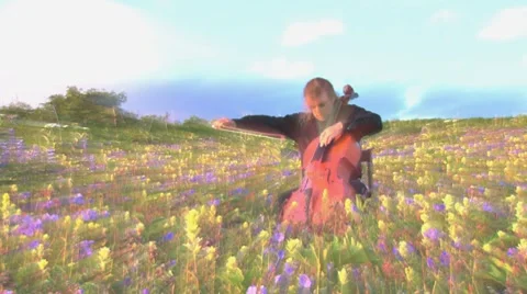 Mad Cellist in Field of Flowers with rays Stock Footage 7903130