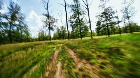 Mad flight through the forest Stock Footage 11487915