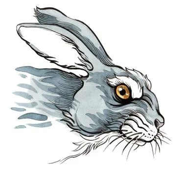 Mad hare Illustrazione stock