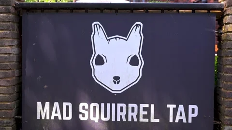 Mad Squirrel Tap Signboard with Stylized Squirrel Logo in St Albans Stock Footage 345010620