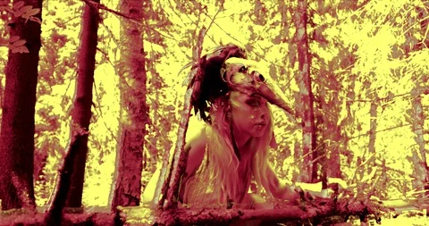 Mad witch dressed in rags and bird skull mask is walking in forest, psychedelic Stock-Footage 128291341