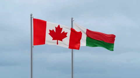 Madagascar and Canada flag Stock Footage 252024577