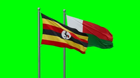 Madagascar and Uganda two flags Stock Footage 292823085