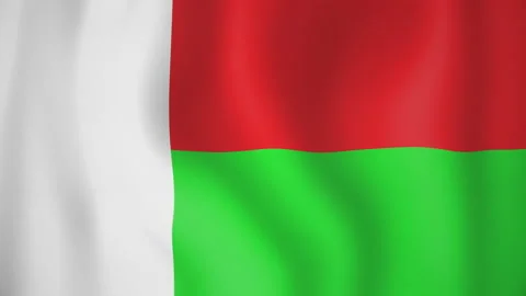 Madagascar animated flag. Seamless loop. 4K Stock-Footage 145445603