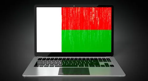 Madagascar - country flag and binary code on laptop screen Stock Illustration