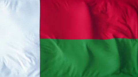 MADAGASCAR COUNTRY FLAG Stock Footage 282428904