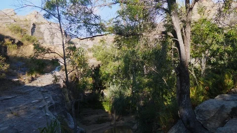 Madagascar desert oasis Stock Footage 88566925