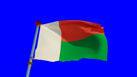 Madagascar Flag in 3D Stock Footage 157354908