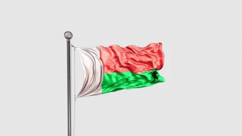 Madagascar Flag  Animation Loop Include Alpha 3D Rendering Stock Footage 312077904