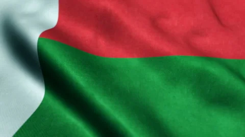 Madagascar Flag. Background Seamless Looping Animation. 스톡 동영상 226816417