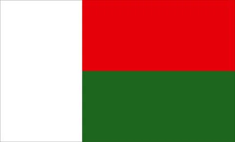 Madagascar Flag Design Stock Illustration