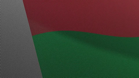 Madagascar Flag Digital Particle Waving Seamless Loop Animation on Black Ba.. Stock Footage 339303034
