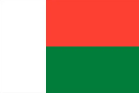 Madagascar flag flat vector illustration Illustrazione stock