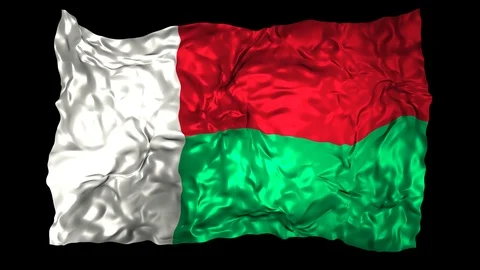 Madagascar flag Stock Footage 110822286