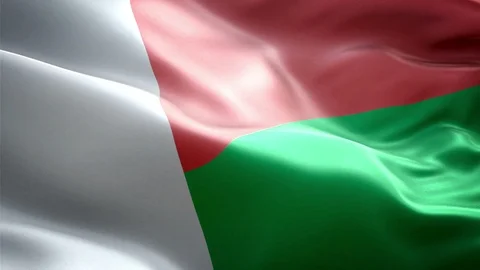 Madagascar Flag Stock Footage 116383398