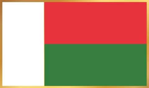 Madagascar Flag Illustration Stock Illustration