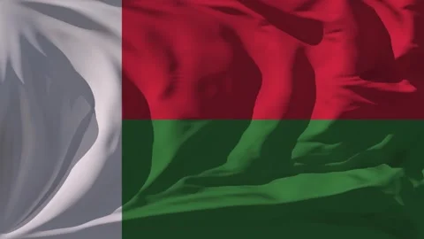 Madagascar Flag Loop Stock Footage 295748701