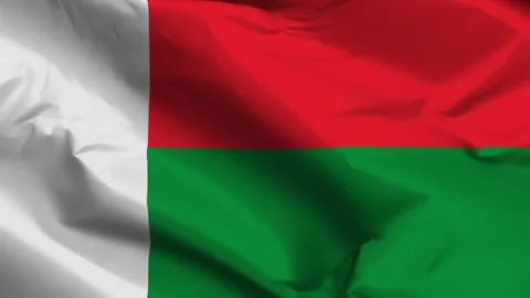 Madagascar flag moved by the wind Stock Footage 292446714