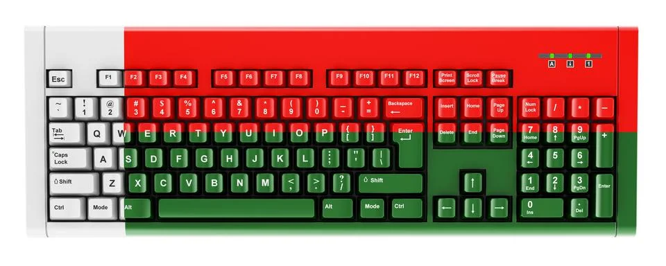 Madagascar flag painted on computer keyboard. 3D rendering 스톡 일러스트