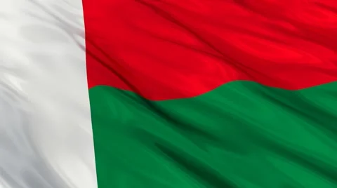 Madagascar flag Seamless Stock Footage 49088863