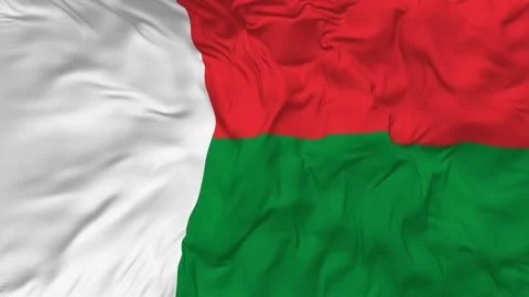 Madagascar Flag Seamless Looping Background Waving Slow Motion Stock Footage 233856235