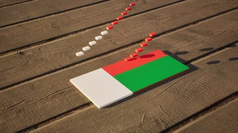 Madagascar Flag - Slow Motion Stock Footage 318814907