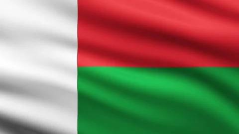 Madagascar Flag Waving Animation Background Full Screen Animated Flag in wind Stock Footage 271210078