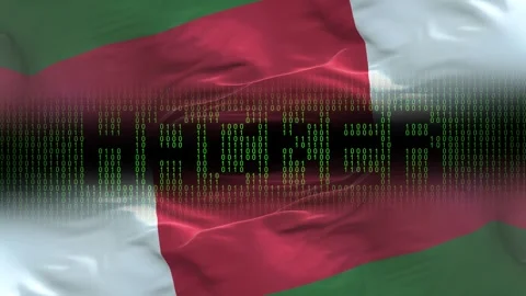 Madagascar flag - Waving flag on matrix binary code background Stock Footage 321420277