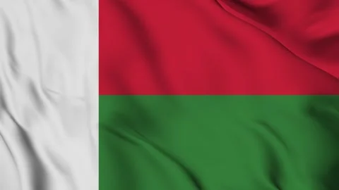 Madagascar flag Waving Stock Footage 294135537