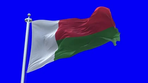Madagascar Flag Waving in Loopable and Textured green screen background Stock Footage 296876950