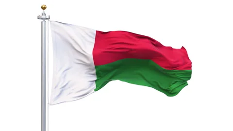 Madagascar flag waving looping with transparent background. 動画素材 320996105