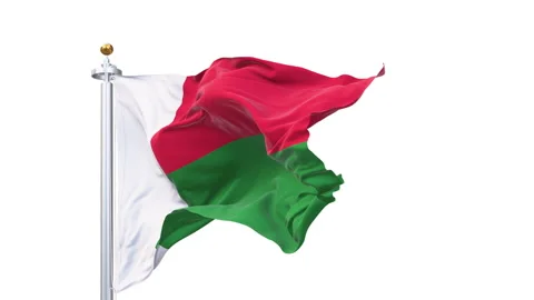 Madagascar flag waving looping with transparent background. Video stock 320996123