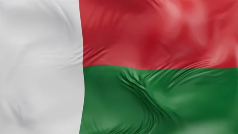 Madagascar flag waving Seamless silk flag 3d animation slow motion Looping Stock Footage 337950027