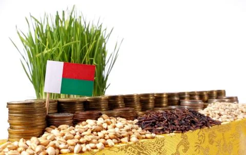 Madagascar flag waving with stack of money coins and piles of wheat and ric.. Stock Photos