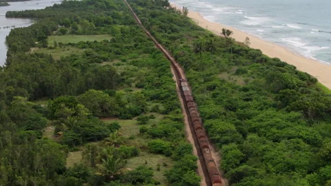 Madagascar jungle ocean train Stock Footage 264928437