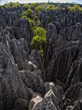 Madagascar Limestone Spires Stock Photos