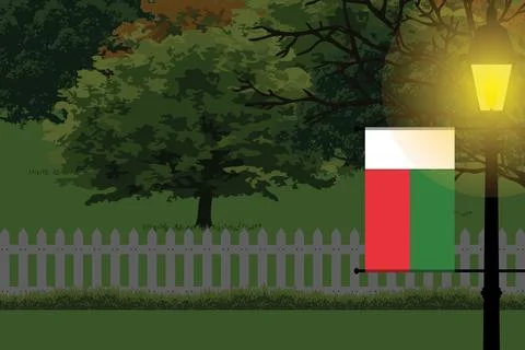 Madagascar Night Trees Lamp Vector Illustration Stock Illustration