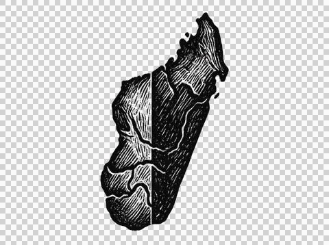 Madagascar outline map with internal divisions in black and white hatching. Stock Illustration