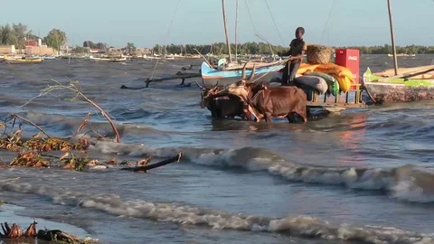 Madagascar. Port in Tulear. Stock Footage 108221162