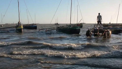 Madagascar. Port in Tulear. Stock Footage 108221163