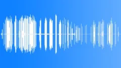 Madagascar Red Fody CU Sound Effect