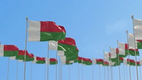 Madagascar Row Of Flags 3D Animation Video stock 148720611