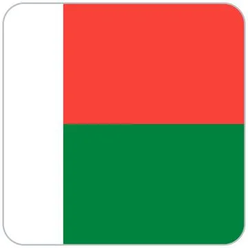 Madagascar square flag icon Stock Illustration