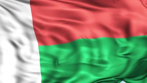 Madagascar Waving Flag Background Stock Footage 204136896