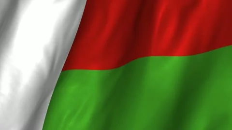 Madagascar Waving Flag Stock Footage 12303714