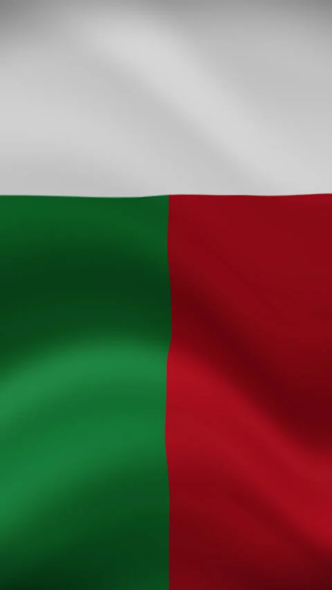 Madagascar Waving Flag in Vertical Orientation – Realistic Loop Animation Stock Footage 294948164