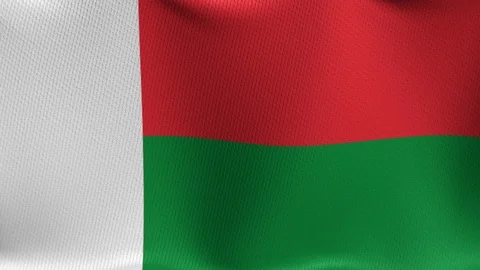 Madagaskar 스톡 동영상 89124588